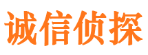 苏仙市侦探公司